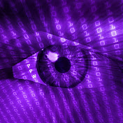 Profile Picture of P Perry-Williams (@ppwkoala) on Youtube