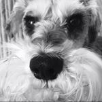 Profile Picture of Joanne Thornton (@joanne.thornton.712) on Instagram