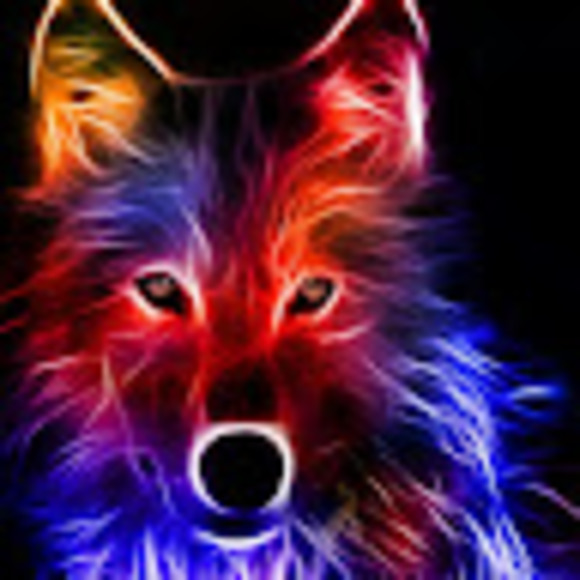 Profile Picture of Austin Hollon (@abhollon1234) on Poshmark