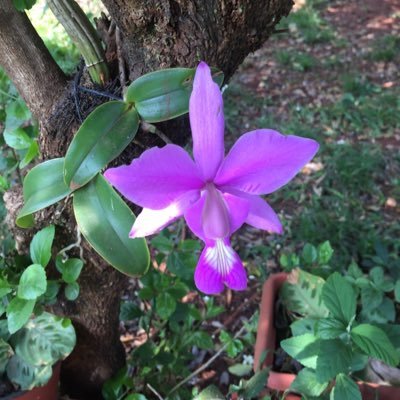 Profile Picture of Silvia Peterson (@silvianpeterson) on Twitter
