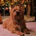 Profile Picture of Luanne Jordan (@jsc2006) on Pinterest