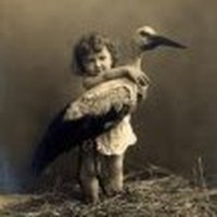 Profile Picture of Sara Lindsay Rath (@sara-lindsay-rath) on Quora