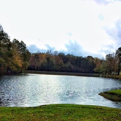 Profile Picture of John Nance (@johnrobinnance) on Twitter