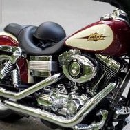 Profile Picture of Robert Acerra (@Robertacerra8) on Twitter