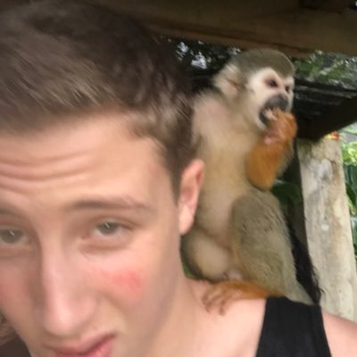 Profile Picture of Ben Ehrlich (@BenEhrlich88) on Twitter