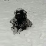 Profile Picture of Jim Wester (@jim.wester) on Instagram