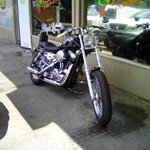 Profile Picture of Peter Pretorius (@andrewpretorius90) on Instagram