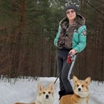 Brungilda Red Fox - Instagram Profile Picture of Brungilda Red Fox (@brungildaredfox) on Instagram