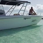 Profile Picture of Paul Chamberlain (@chamberlain3770) on Instagram