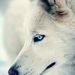Profile Picture of levana (@levana8450) on Pinterest