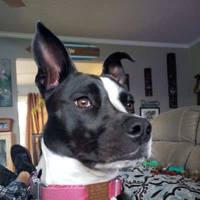 Profile Picture of TH02 (@TylerHailey5) on Twitter