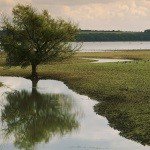 Profile Picture of LeDoux (@1bobelainetc) on Instagram