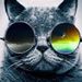 Profile Picture of Donald Alvin (@donneladap) on Pinterest
