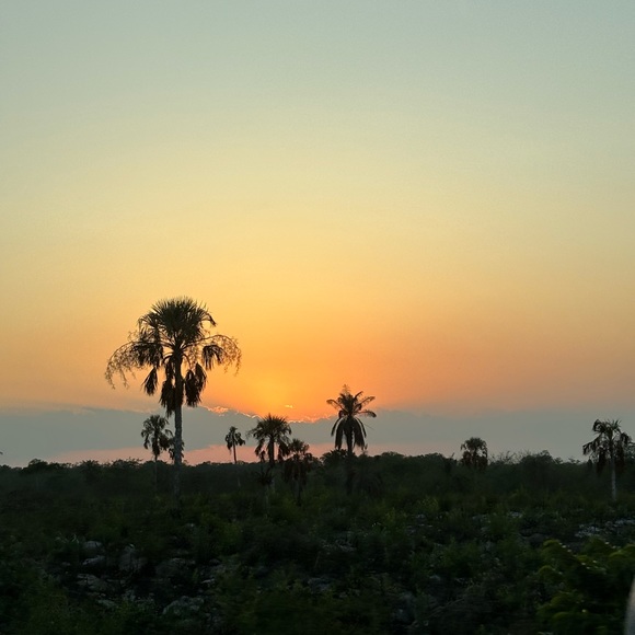 Profile Picture of Alexander Gamboa rosado (@xan07) on Poshmark