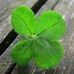 Profile Picture of Thomas Tessier (@thomas.tessier.7121) on Facebook