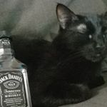 Profile Picture of jesse oropeza (@xminiempire) on Instagram