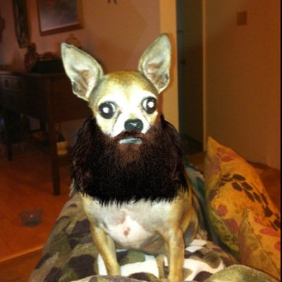 Profile Picture of Chris Struve (@epic248) on Twitter