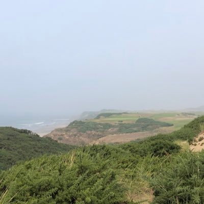 Profile Picture of Dave Reischman (@ReischmanDave) on Twitter