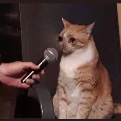 Profile Picture of Steve Otis (@SteveOtis9) on Twitter