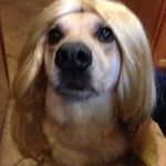 Profile Picture of Michelle McCartin Carello (@mccartincarello) on Instagram