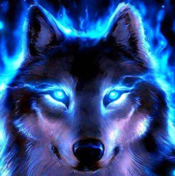 Profile Picture of Emmanuel Rodriguez (@emmanuelrodr497) on Poshmark