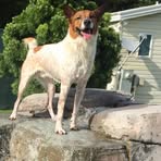 Profile Picture of Hilton Wiener (@hilton.wiener.14) on Facebook