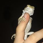 Profile Picture of Machelli (@whitemazdavan) on Instagram