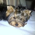 Profile Picture of Marnie Walker (@mwalker333) on Instagram