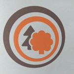 Profile Picture of Tom Ludwig Dienstleistungen 🌲🌳 (@tom_ludwig_dienstleistungen) on Instagram