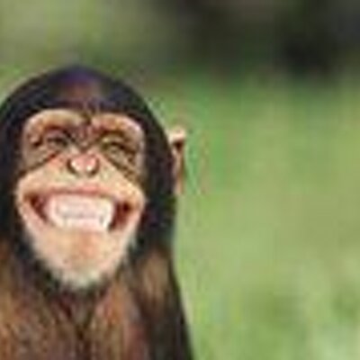 Profile Picture of JoAnn Elmore Wattles (@JoAnnWattles) on Twitter