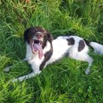 Profile Picture of Amelia Rose  Vallance (@missvallance) on Instagram