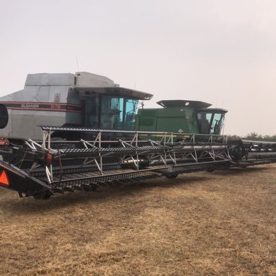 Profile Picture of Reid_Davidson (@Reid_Davidson) on Twitter