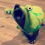 Caleb Marroquin - Instagram Profile Picture of Caleb Marroquin (@_keileb123) on Instagram