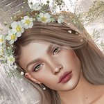 Profile Picture of La Fée Verte (@la fee verte_1792) on Flickr