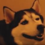 Profile Picture of Timothy Stiens (@pipepsycho) on Instagram