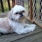 Profile Picture of Kyle Gee (@gee4327) on Instagram