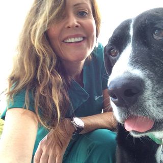 Profile Picture of Sue Curley (@Sue-Curley) on Facebook