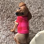 Profile Picture of Ruby Kennedy (@boujee_ruby) on Instagram