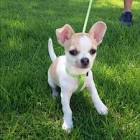 Profile Picture of   TikTok de er Dani 🎮👿... (@daniel2m8g) on Tiktok