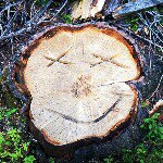 Profile Picture of Alex Means (@al3xand3p) on Instagram