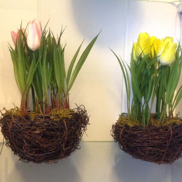 Profile Picture of Kaki reckard Abicht (@shopgirlwv63) on Poshmark