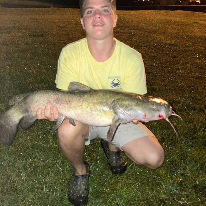 Profile Picture of stevenpresnell (@steven.presnell5) on Tiktok