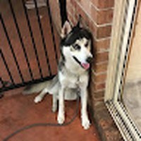 Profile Picture of Kevin Khuu (@kevin-khuu-23) on Quora