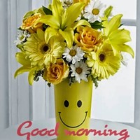 Profile Picture of Robert Koh (@robert-koh-3) on Quora