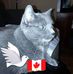 Profile Picture of Kitty Chisholm (@kitty.chisholm.7) on Facebook