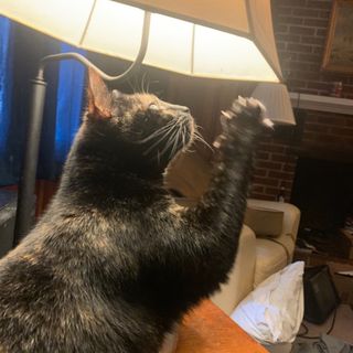 Profile Picture of Randy Brackett (@amusicalheart1) on Instagram