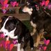 Profile Picture of Hannah Hargett (@hannahhargett.hargett.1) on Facebook