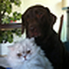 Profile Picture of Amy, Jim, Mosey, Wilkie (@Amy, Jim, Mosey, Wilkie) on Flickr