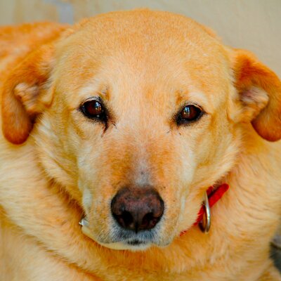 Profile Picture of Jay Mallick (@mejay200) on Twitter