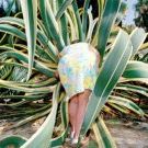 Profile Picture of Manda Wu (@mandawu) on Pinterest